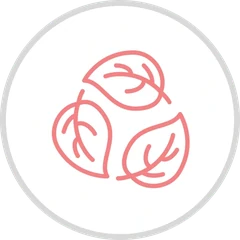 Natural ingredients seal used on the Femicore sales page